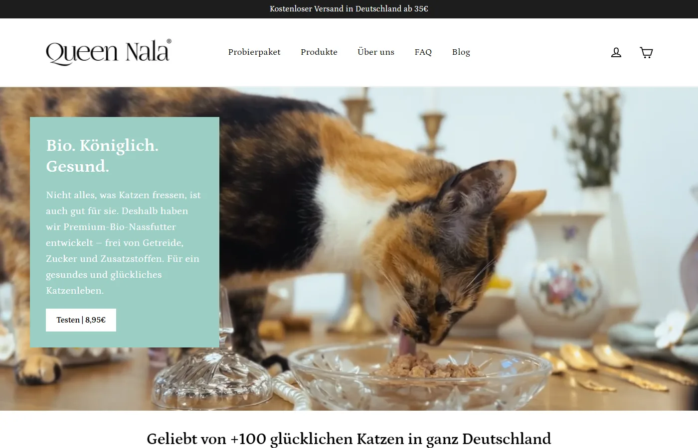 Tienda de Queen Nala